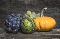 Pumpkins and fresh red and white grapes on wooden board. Royalty Free Stock Photo