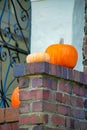 Pumpkins on the front porch or patio during autumn as halloween decorations or for fall in late afternoon shade Royalty Free Stock Photo