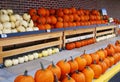 Pumpkins in front of Sprouts Farmers Market , Manassas, VA Royalty Free Stock Photo