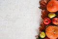 Pumpkins, fruits and autumn maple leaves on white background. Autumn harvest. Royalty Free Stock Photo