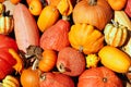 Pumpkins and gourds