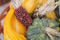 Pumpkins, gourds and corn Royalty Free Stock Photo