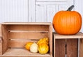 Pumpkins and gourds on a crate Royalty Free Stock Photo