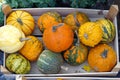 Pumpkins gourds crate Royalty Free Stock Photo