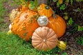 Pumpkins and gourds displayed together