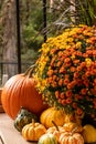 Fall decor reflecting sunlight