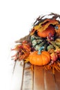 Pumpkins, gourds, and leaves in an Autumn cornucopia Royalty Free Stock Photo