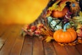 Pumpkins, gourds, and leaves in an Autumn cornucopia Royalty Free Stock Photo
