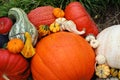 Pumpkins gourds Royalty Free Stock Photo