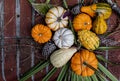 Pumpkins, Gourds and Palmetto Leaves on Brick