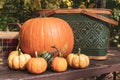 Pumpkins and gourds on picnic table Royalty Free Stock Photo