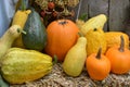 Pumpkins, Gourds and Squash