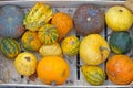 Pumpkins gourds squash crate Royalty Free Stock Photo