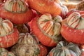 Pumpkins / gourds / squash photographed in the greenhouse at Babylonstoren, Franschhoek, South Africa. Royalty Free Stock Photo