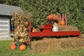 Pumpkins, gourds, and squash Royalty Free Stock Photo