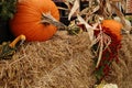 Pumpkins and gourds on straw bale harvest display Royalty Free Stock Photo