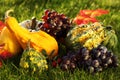 Pumpkins and grapes in the grass