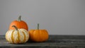 Pumpkins on gray background Royalty Free Stock Photo