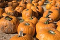 Pumpkins at a Halloween pumpkin patch