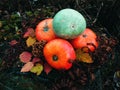 Pumpkins Royalty Free Stock Photo