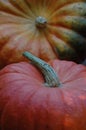 Pumpkins Royalty Free Stock Photo