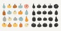 Pumpkins. Hand drawn icons. Colofrul and black and white pumpkins set. Vector