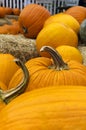 Pumpkins at Harvest Time