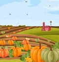 Pumpkins harvest Vector. autumn seasonal banner templates