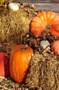 Pumpkins on hay bales at harvest time Royalty Free Stock Photo