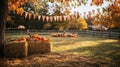 Pumpkins and Hay Bales in a Rural Autumn Setting Royalty Free Stock Photo
