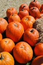 Pumpkins and hay in the sun