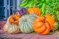 Pumpkins for holloween display on a ground with bricks at San Francisco, California