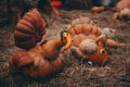 Pumpkins in honor of the celebration of autumn and Halloween. festival of vegetables. funny Turkey made of pumpkins