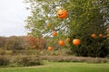 Pumpkins hung on a tree in a park for Halloween in Hudson Valley