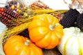 Pumpkins And Indian Corn