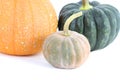 Pumpkins isolated on white