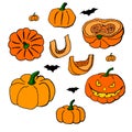 Pumpkins and Jack-o`-lantern. Set of Halloween objects