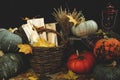 Pumpkins, a kerosene lamp, a dry bouquet and firewood in a basket. Harvesting. Thanksgiving Day. Wallpaper