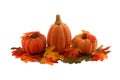 Pumpkins and leafs - Thanksgiving decoration Royalty Free Stock Photo