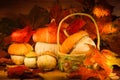 Pumpkins and leaves Royalty Free Stock Photo