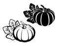 Pumpkins with leaves. Vector black silhouette