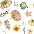 Pumpkins and leaves watercolor seamless pattern with pumpkin, stick, rose hip, abstract herbs, for background