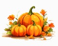 pumpkins and leaves on a white background