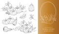 Pumpkins Line Art Illustration, Outline Pumpkin arrangement Hand Drawn Illustration. Coloring Page with Pumpkins Royalty Free Stock Photo