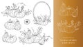 Pumpkins Line Art Illustration, Outline Pumpkin arrangement Hand Drawn Illustration. Coloring Page with Pumpkins Royalty Free Stock Photo