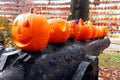 Pumpkins line the top of a cannon