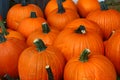 Pumpkins Royalty Free Stock Photo