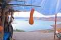 Pumpkins in a market stall at a lake in Morocco Royalty Free Stock Photo