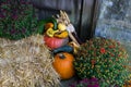 Pumpkins and Mums Decoration