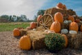 Pumpkins, Mums, and Hay Royalty Free Stock Photo